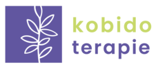 Logo salonu kosmetycznego Żory kobido terapie.